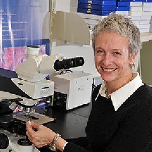 Grant Helps Unravel Role of Glucose Fats in Bone Cancer