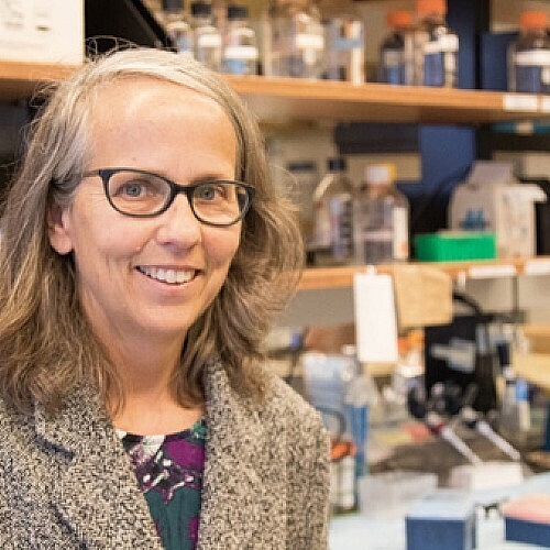 Hazlehurst Named Associate Director