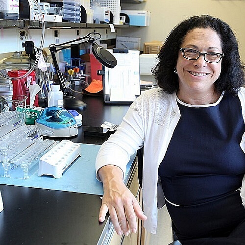 Innova Therapeutics Receives Rare Pediatric Disease Designation From FDA for Osteosarcoma Treatment