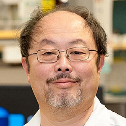 Internal Clock Could Be Targeted to Prevent or Slow Breast Cancer Progression