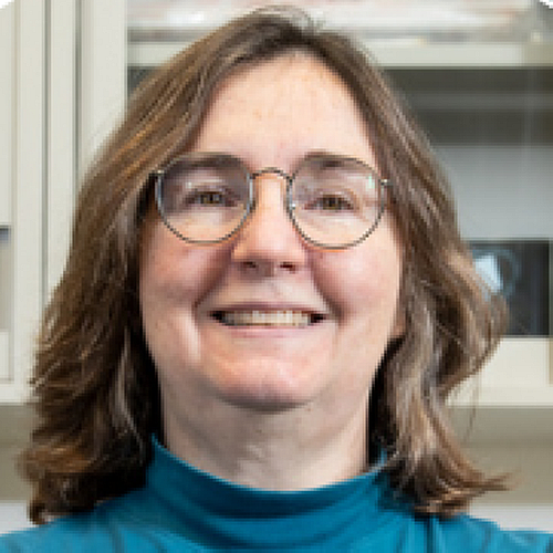 Jeffery Named AAAS Fellow