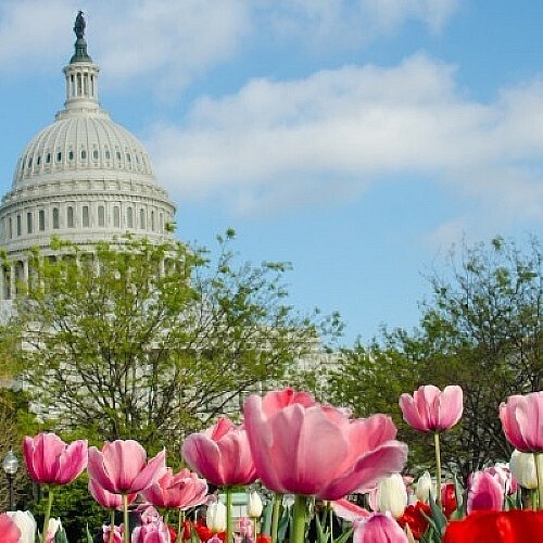 Join Us at Hill Day to Advocate for Cancer Research