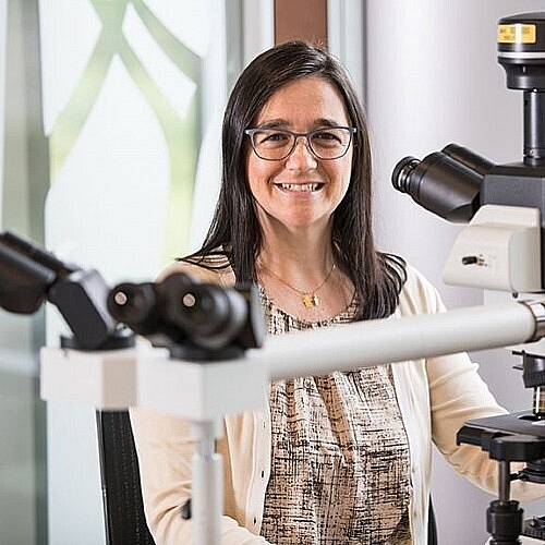 Kleer Honored for Impact on Breast Cancer