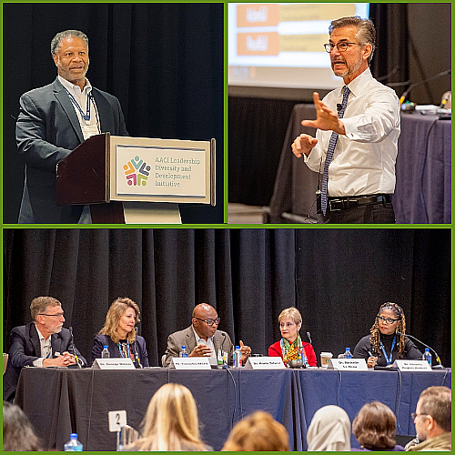 Leadership Diversity and Development Initiative Conducts First Workshop