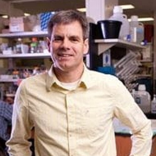 Researcher Receives 2 5 Million Grant to Develop Lung Cancer Treatment