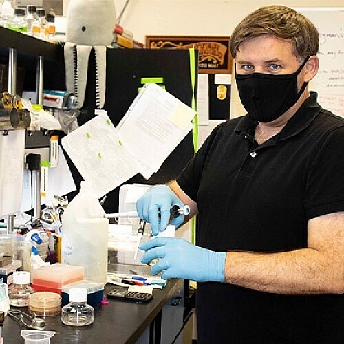 Researcher to Study Cellular Stress Responses Common in Cancer Aging