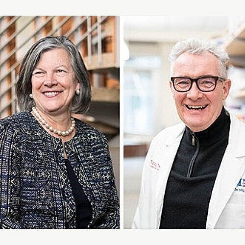 Researchers Appointed to National Scientific Leadership Roles