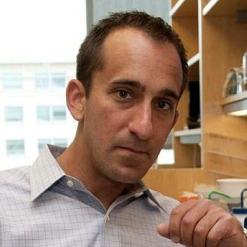 Researchers Use Skin Colonizing Bacteria to Create a Topical Cancer Therapy in Mice