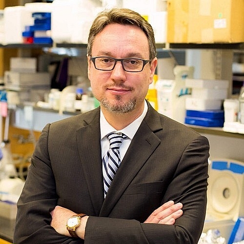 Stegh Named Brain Tumor Center Research Director