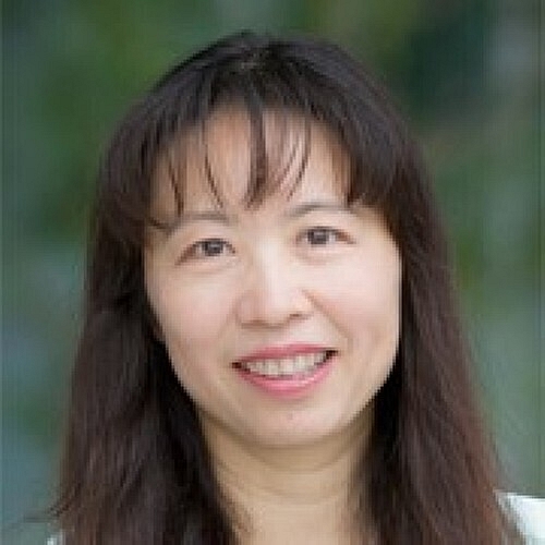 Study Offers Insights Into How Pancreatic Cancer Develops