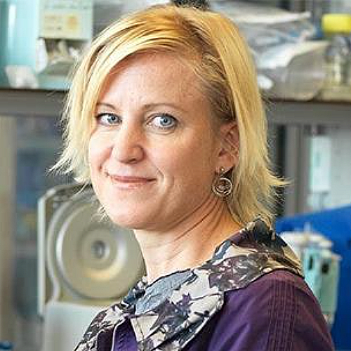 Swartz Elected to the National Academy of Medicine