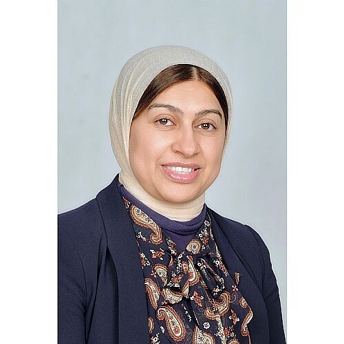 Saeed Joins National GI Cancer Consortium