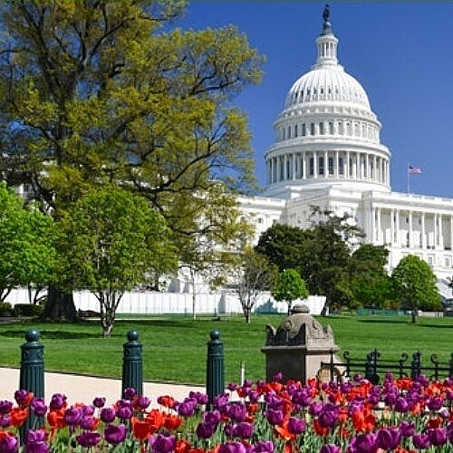 Save the Date for AACIAACR Hill Day