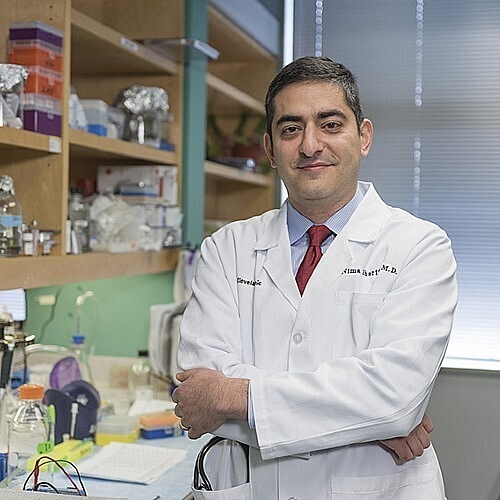 Seven Year Prostate Cancer Project Reaches Drug Discovery Phase