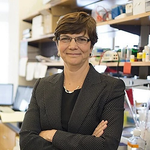 Simeone Named New Director of UC San Diego Moores Cancer Center