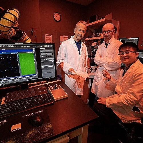 Turning Drug Resistance Against Itself