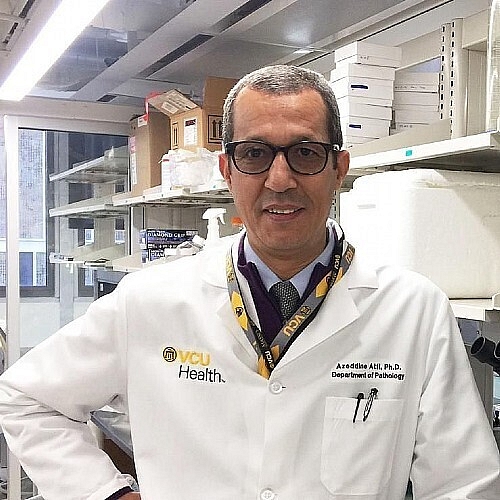 Two Research Programs Merged Into New Cancer Biology Program