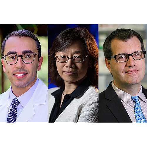 Three Researchers Join UCLA to Propel Cancer Research Innovation