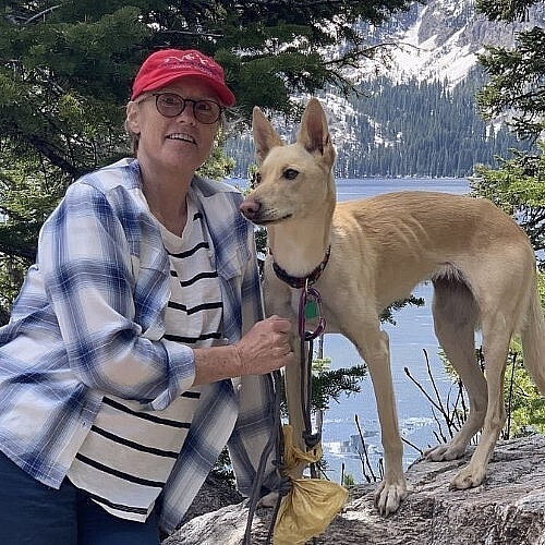 Vanderbilt Ingram Patient First for New Cell Engineering Platform