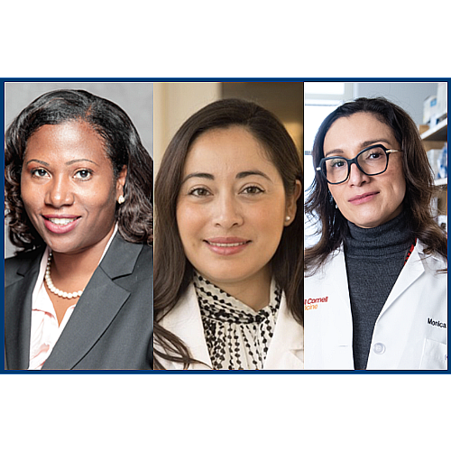 Weill2 DDEI5 Fedit2 Epng