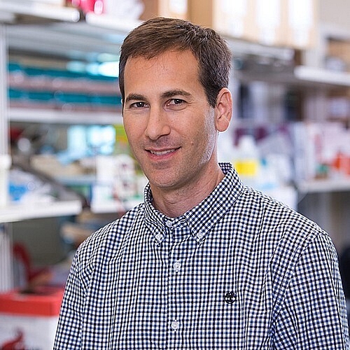 Welford Named Tumor Biology Research Program Co Leader