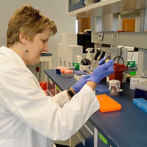 2 1 Million Grant to Study Cognitive Decline During Chemotherapy