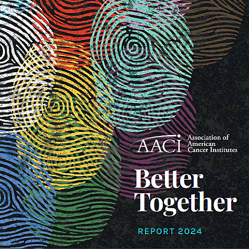 20242 Dreport2 Dcover5 Fsq2 Epng