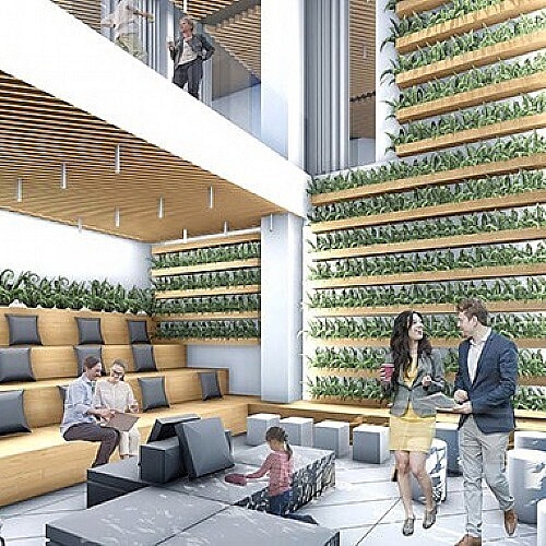 6 5 Million Grant Funds Hawaiis First Cutting Edge Research Clinic