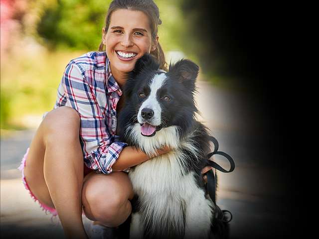 Personal Insurance Header