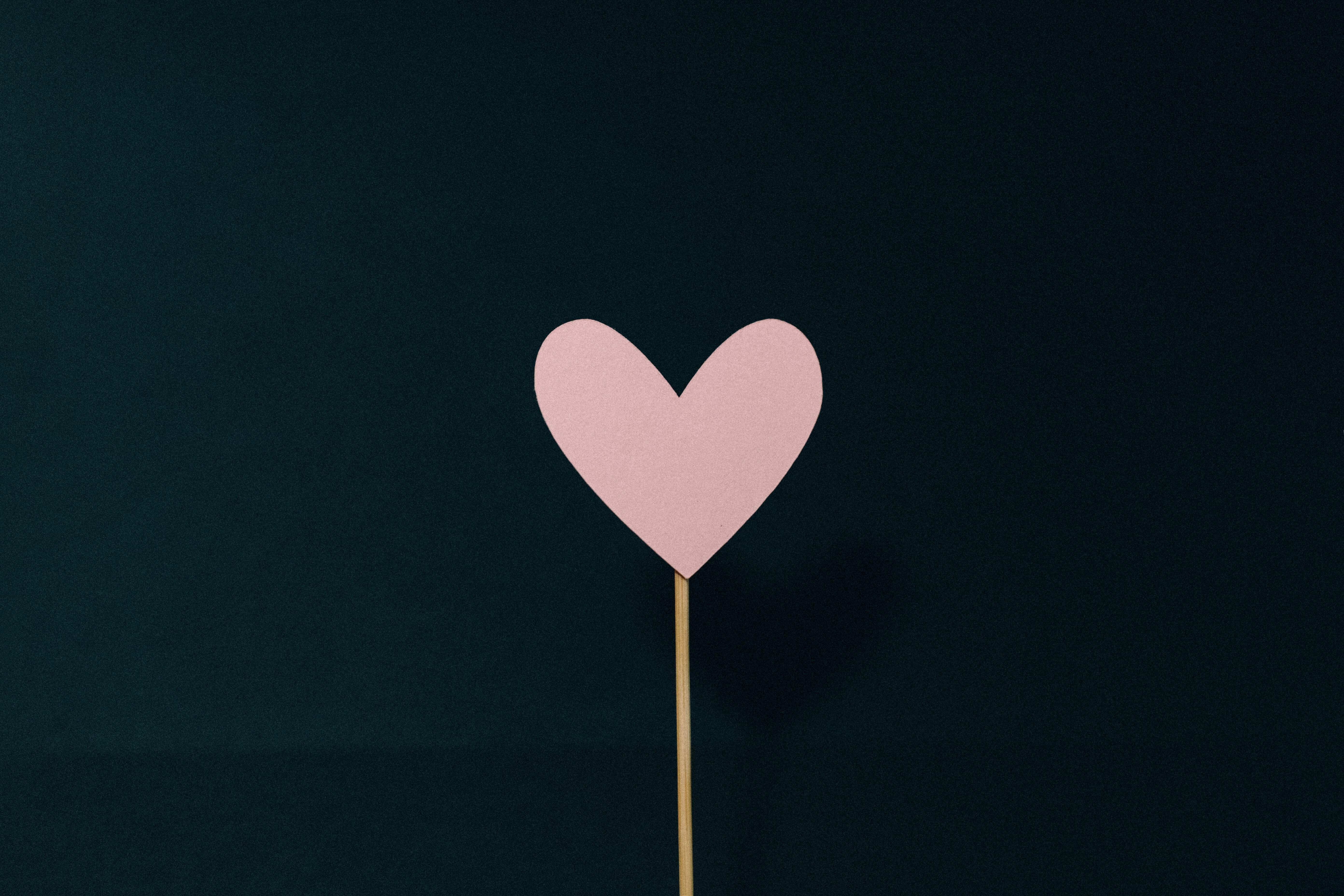 Kelly sikkema Cyn Aj Ql3 I Sk unsplash